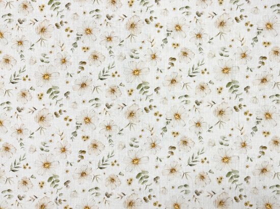 Muslīns (Daisy)